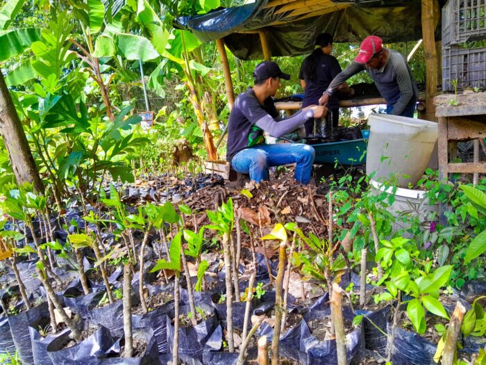 SIEMBRA DE DURANDA LIMÓN EN EL PARQUE ECOLÓGICO - Alcaldía Municipal de ...